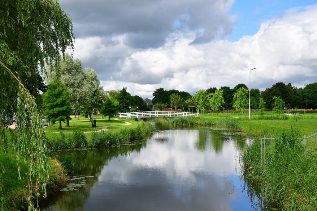 sloot met bomen aan de walkant